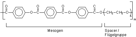Hauptkettenmesogene