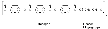 Hauptkettenmesogene