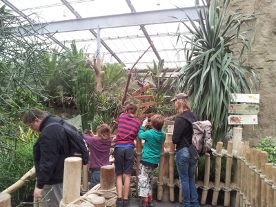 2014 Kids-Ausflug zum Koelner Zoo im Tropenhaus